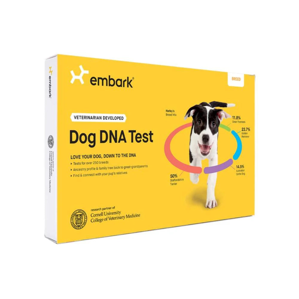 Test ADN destiné à chien Embark, kit d'identification de race