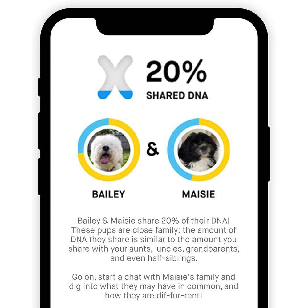 Test ADN destiné à chien Embark, kit d'identification de race
