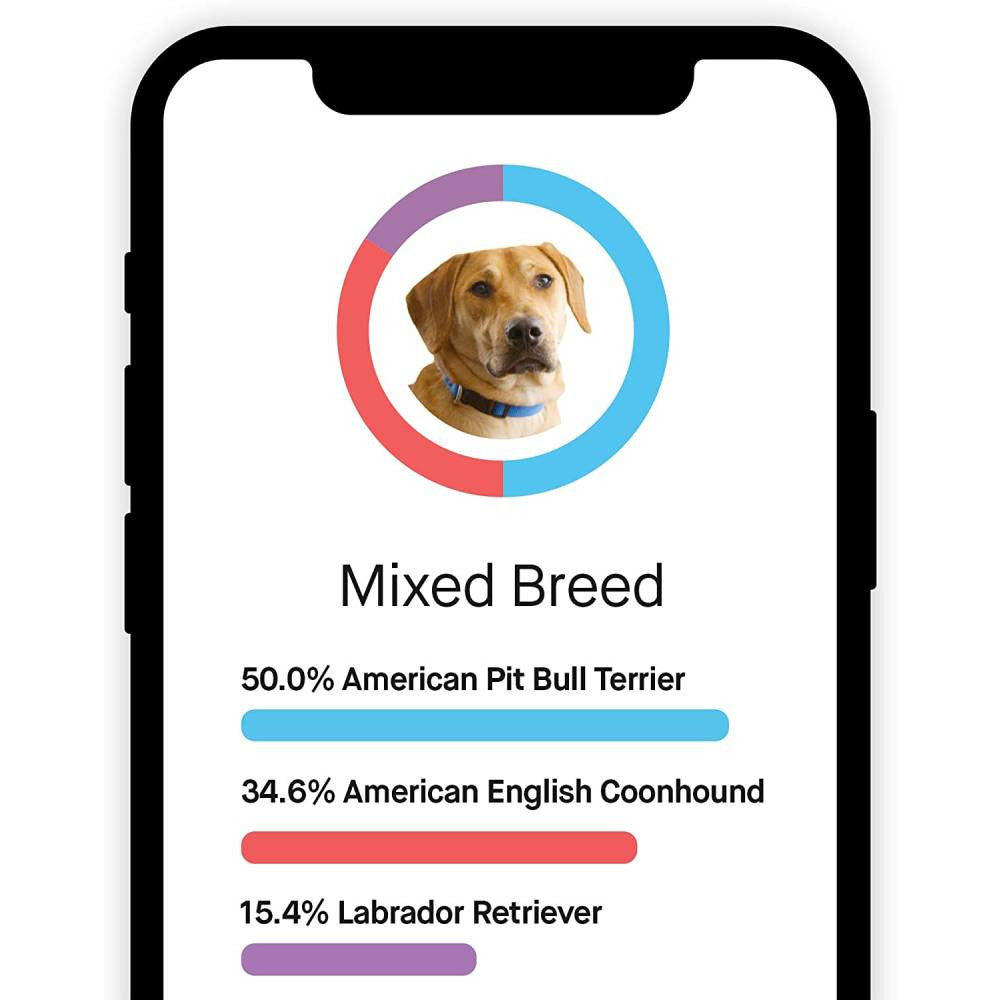 Test ADN destiné à chien Embark, kit d'identification de race