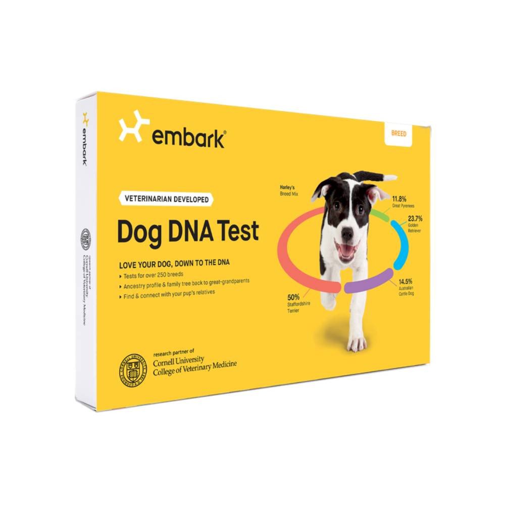 Test ADN destiné à chien Embark, kit d'identification de race