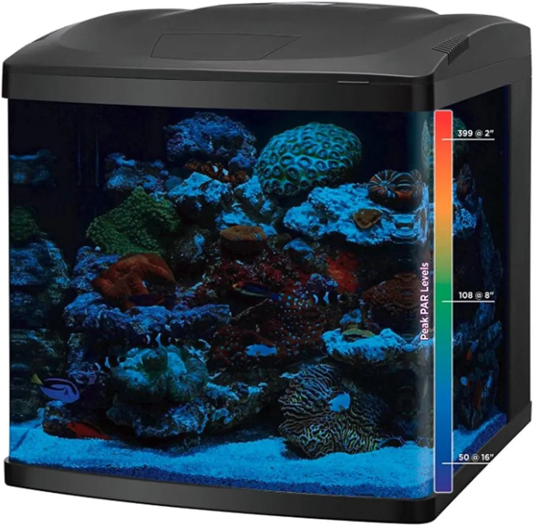 Réservoirs LED et kits combinés (kit réservoir/support pour 32 gallons)